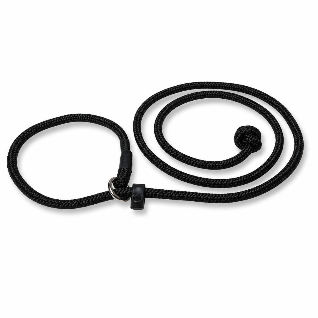 6mm Rogue Slip Leash
