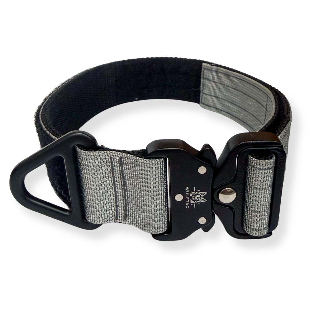 38mm Ranger Collar - Image 4